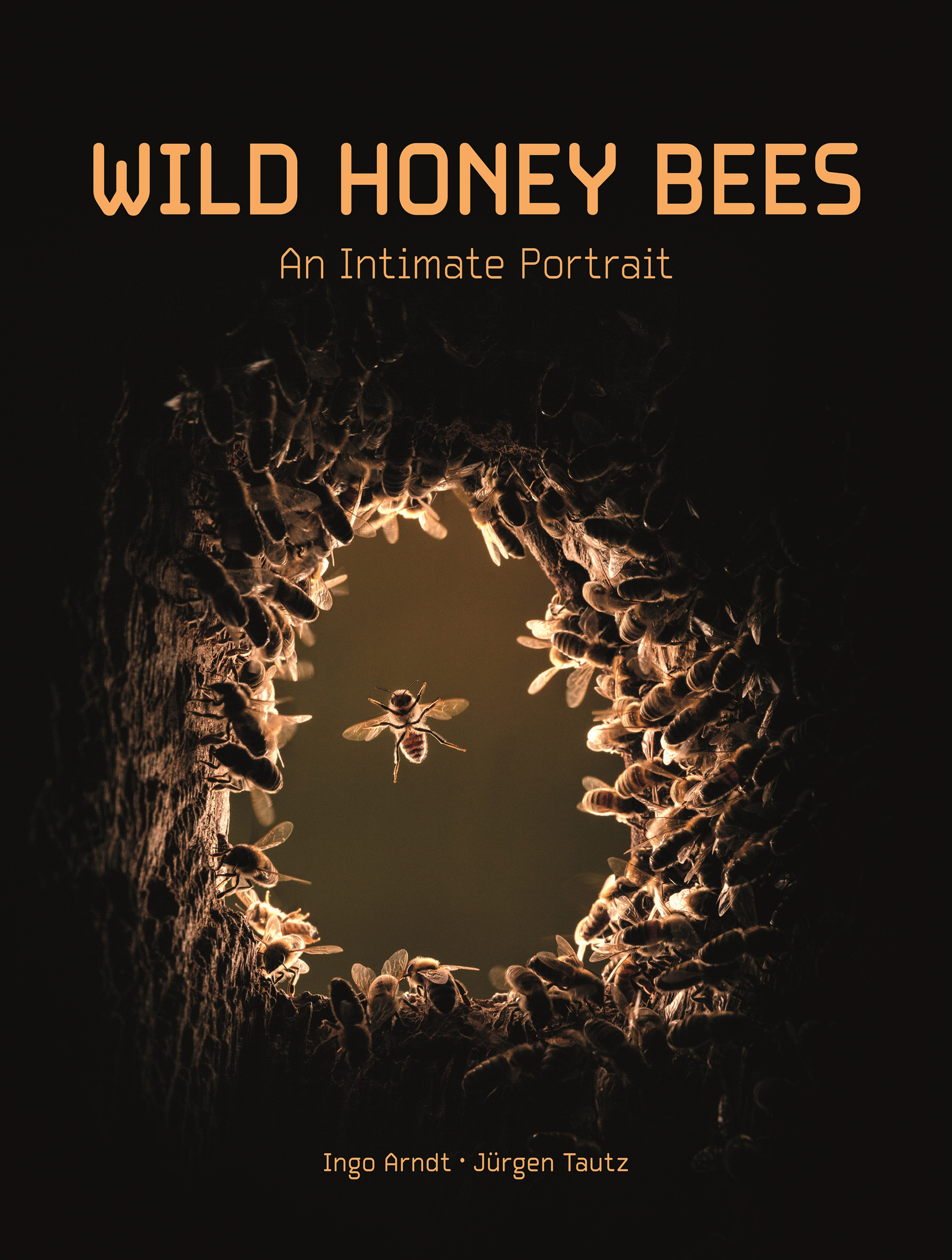 WILD HONEY BEES An Intimate Portrait With photography by INGO ARNDT and text - photo 1