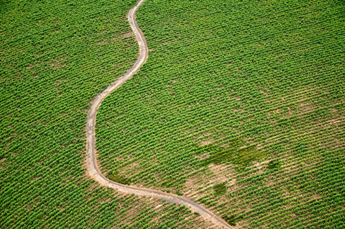 Alamy Introduction to Argentina Studded with outstanding natural wonders and - photo 4