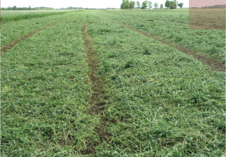 Alfalfa Management Guide Authors Dan Undersander Extension agronomist - photo 2