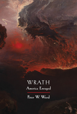 Peter W. Wood - Wrath - America Enraged