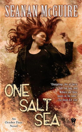 Seanan McGuire - One Salt Sea: An October Daye Novel