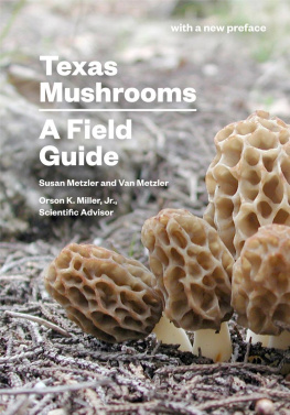 Susan Metzler Texas Mushrooms: A Field Guide