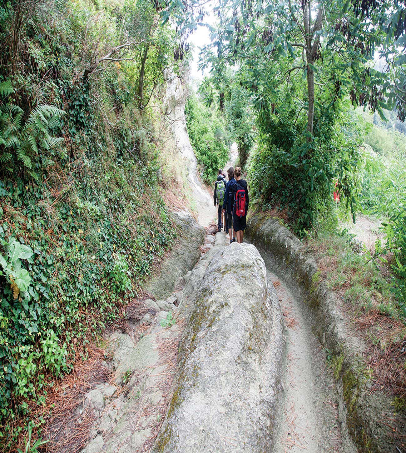 hiking Monte Epomeo on Ischia the island of Procida - photo 12