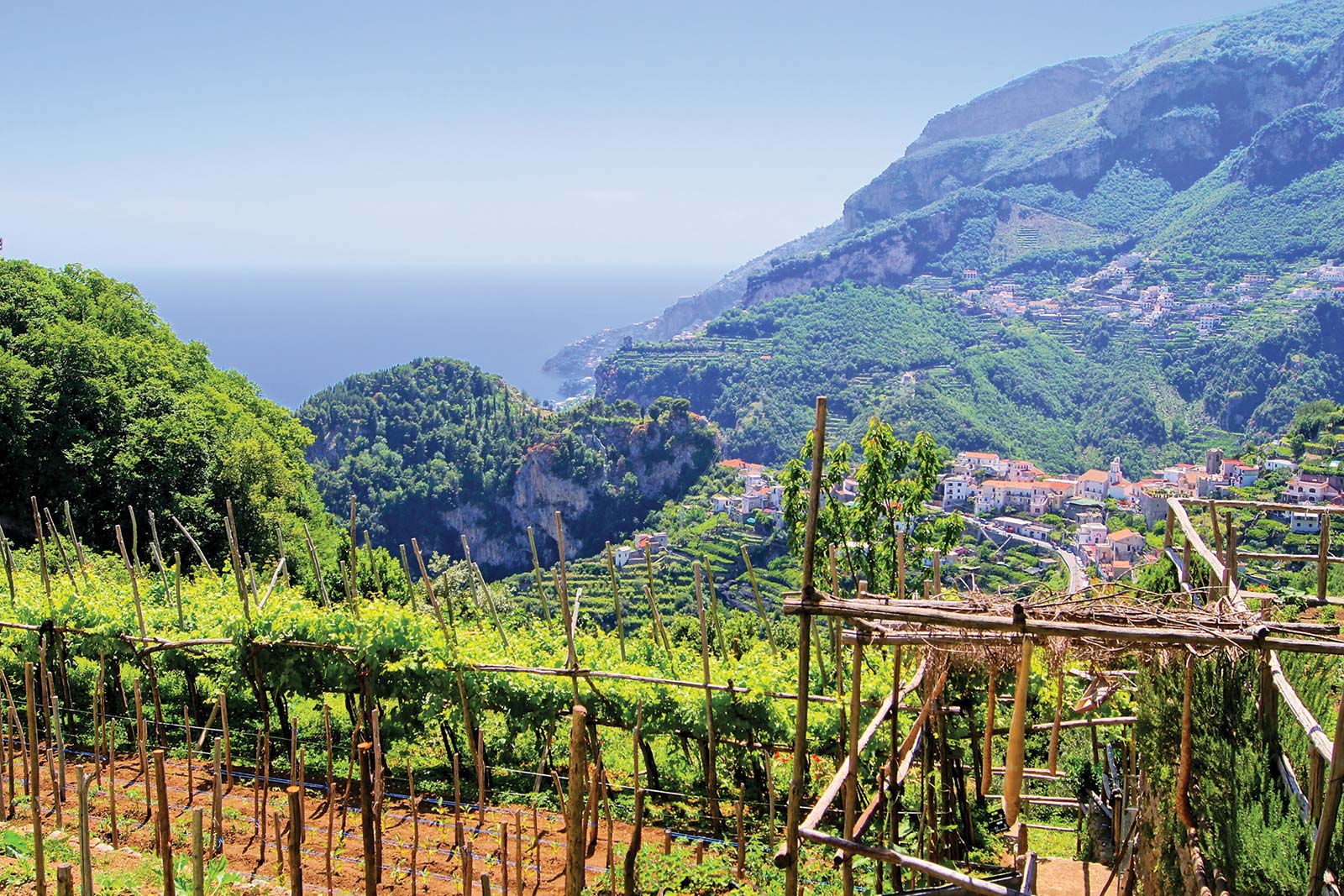 where vines are perched on steep slopes as you can in Naples where - photo 22