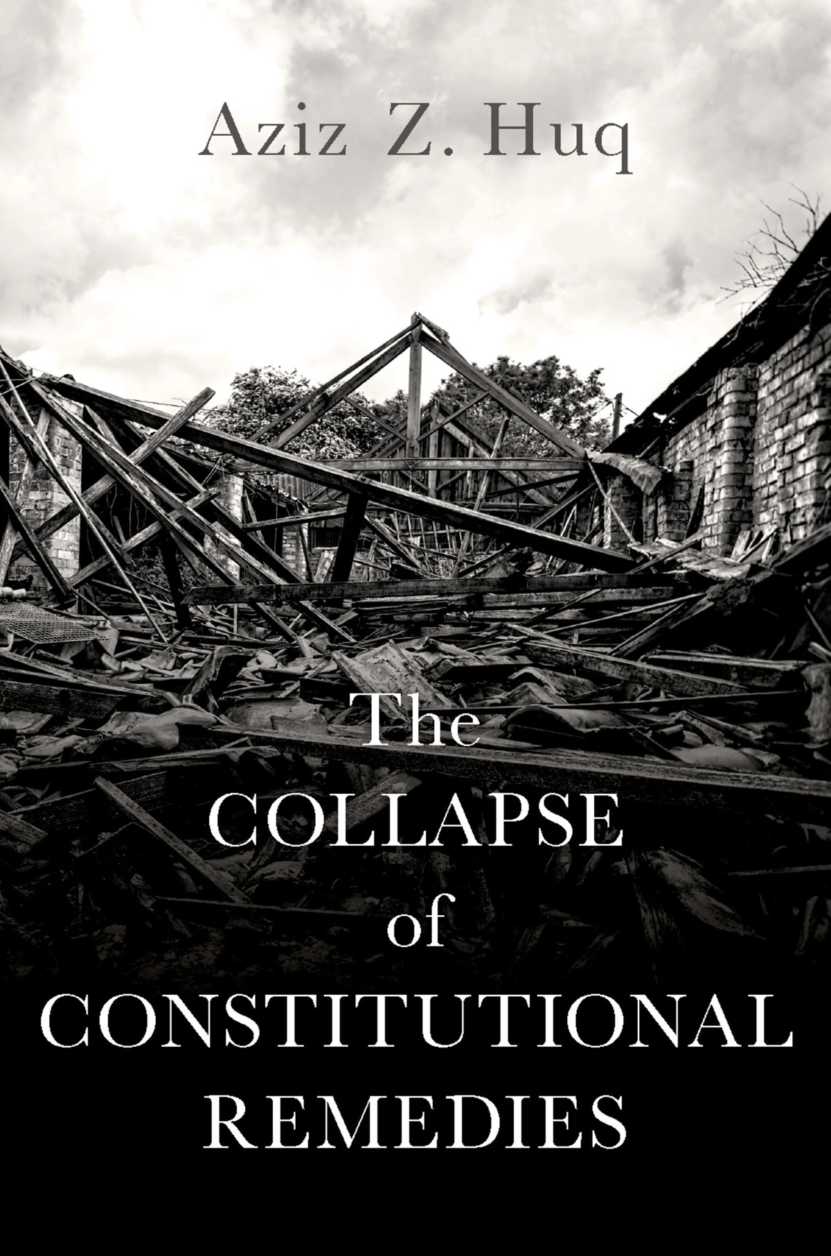 THE COLLAPSE OF CONSTITUTIONAL REMEDIES OTHER BOOKS IN THE SERIES Not a - photo 1