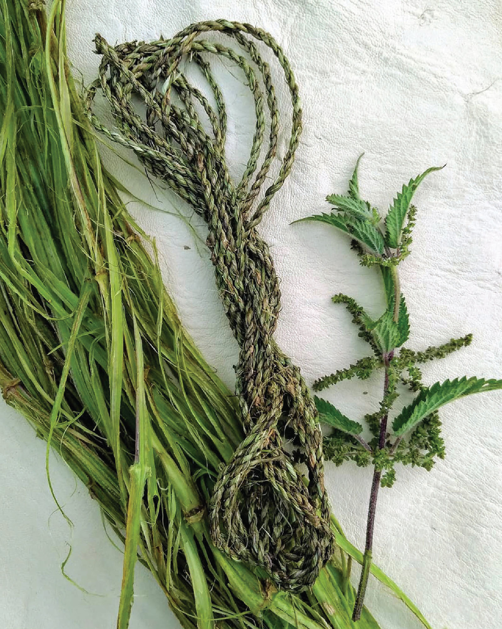 Bast fibre twined from nettle stalk Sally Pointer Bark was another plant - photo 4