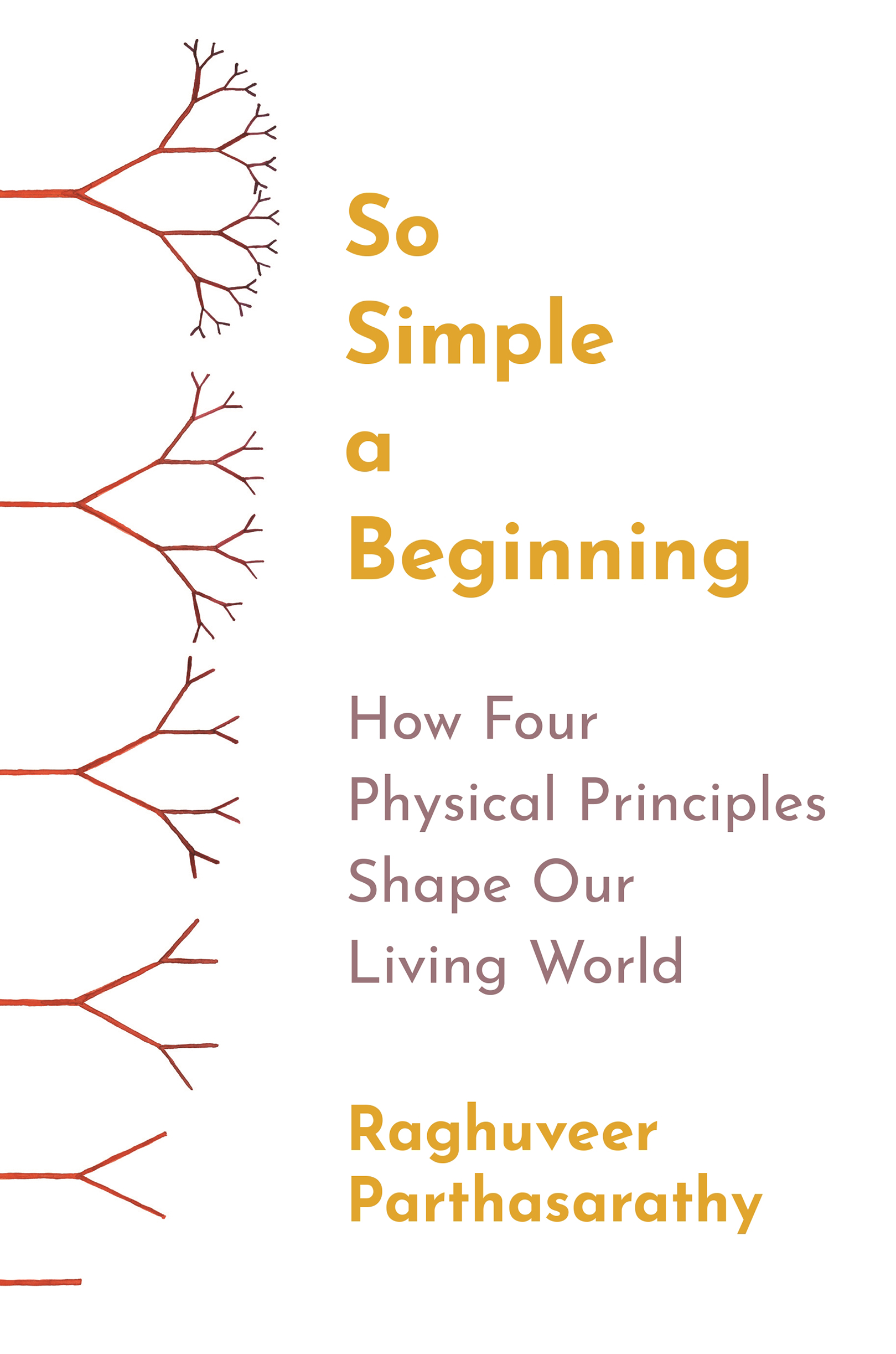 So Simple a Beginning So Simple a Beginning HOW FOUR PHYSICAL PRINCIPLES - photo 1