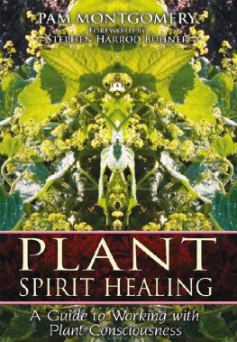 Pam Montgomery - Plant Spirit Healing: A Guide to Working with Plant Consciousness