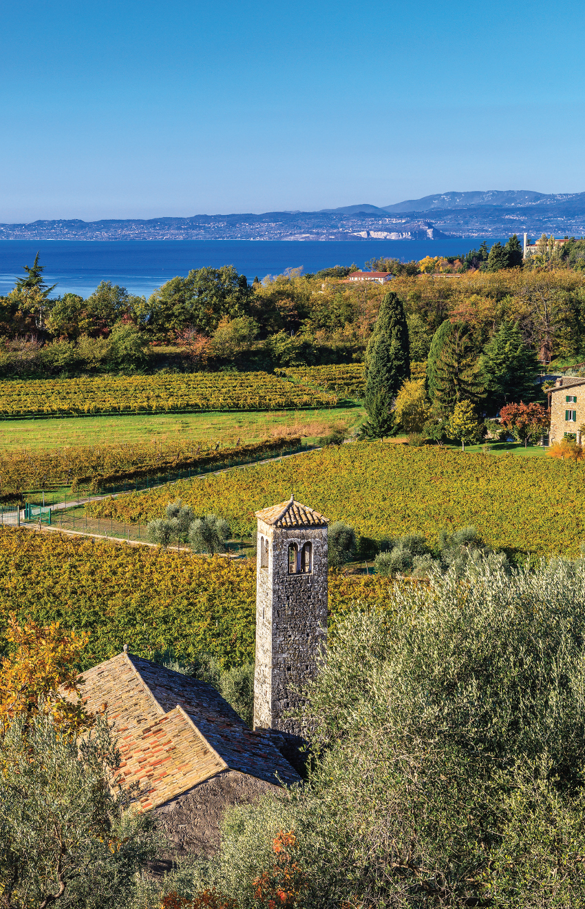 iStock BARDOLINO VINEYARD VERONA Contents iStock Introduction to Venice - photo 3