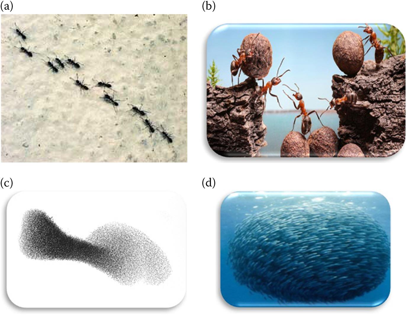 Figure 11 a Ant behavior b smart ant behavior c swarm of bees and d - photo 1