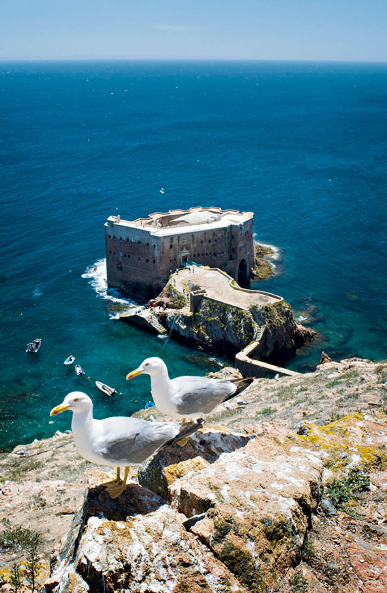 Ilha Berlenga This protected archipelago 10km 6 miles offshore from Peniche - photo 7