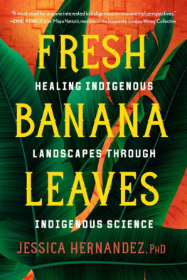 Jessica Hernandez Fresh Banana Leaves