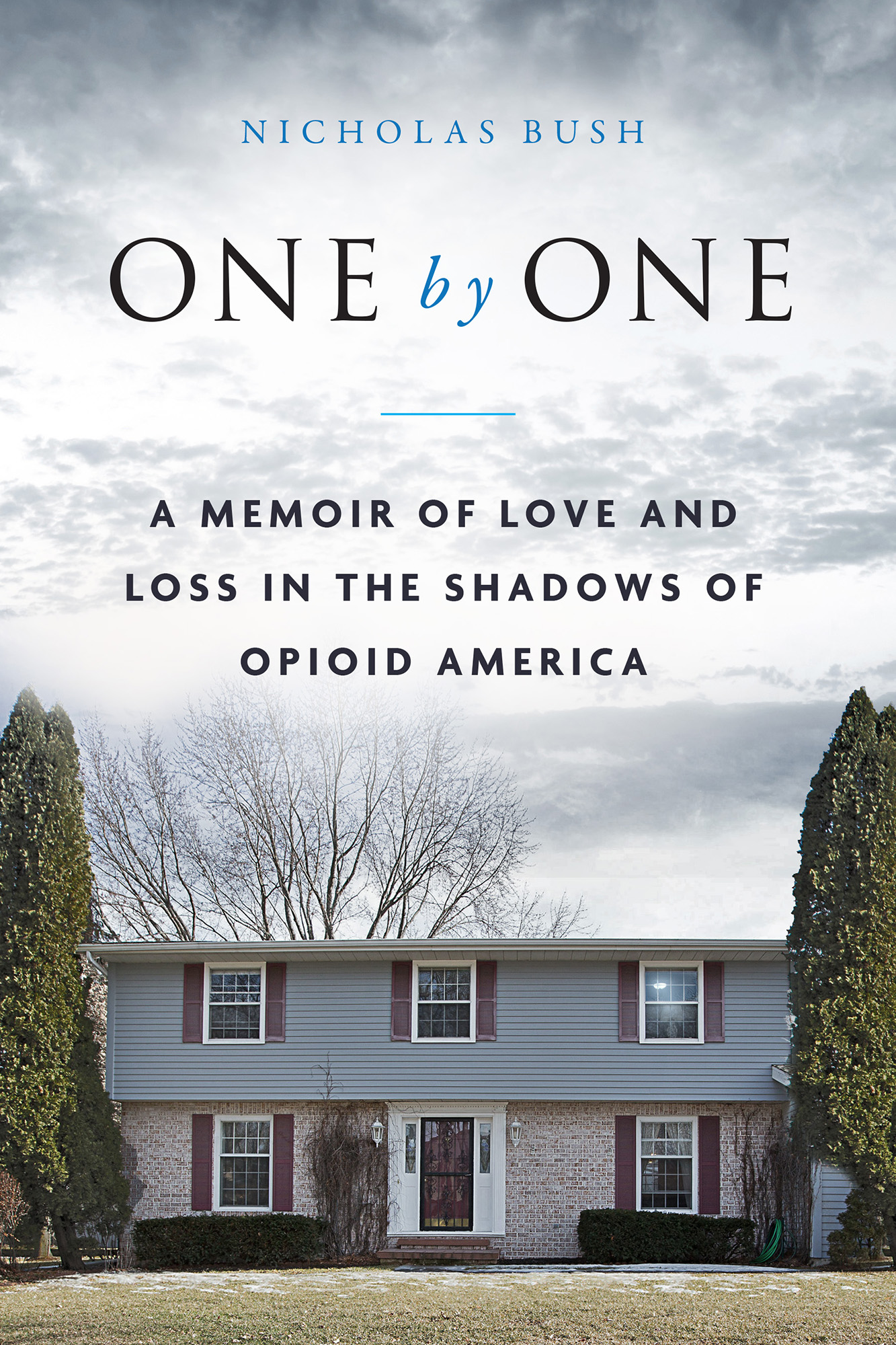 One by One A Memoir of Love and Loss in the Shadows of Opioid America - image 1