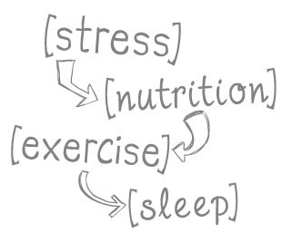 Solving the Paleo Equation Stress Nutrition Exercise Sleep - image 2