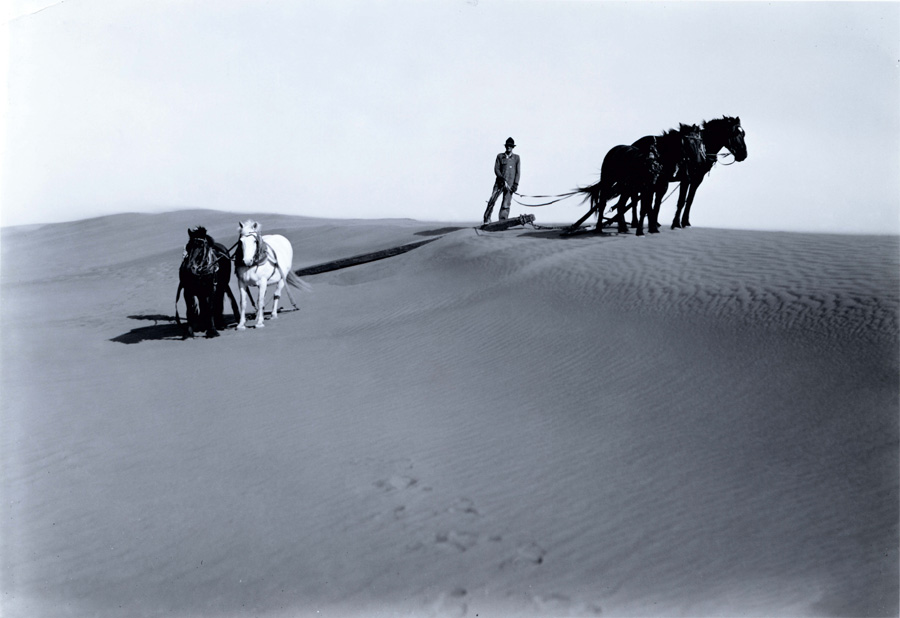 Plate 3 A Texas farmer attacks a sand dune with his team of horses and a - photo 3