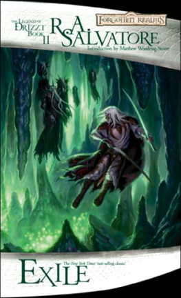 R. A. Salvatore The Dark Elf Trilogy 2 Exile (Dragonlance)