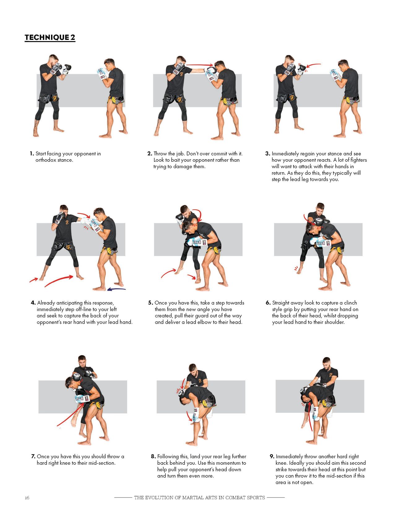 The Evolution of Martial Arts in Combat Sports A complete guide to developing elite level striking from the worlds leading coaches - photo 16