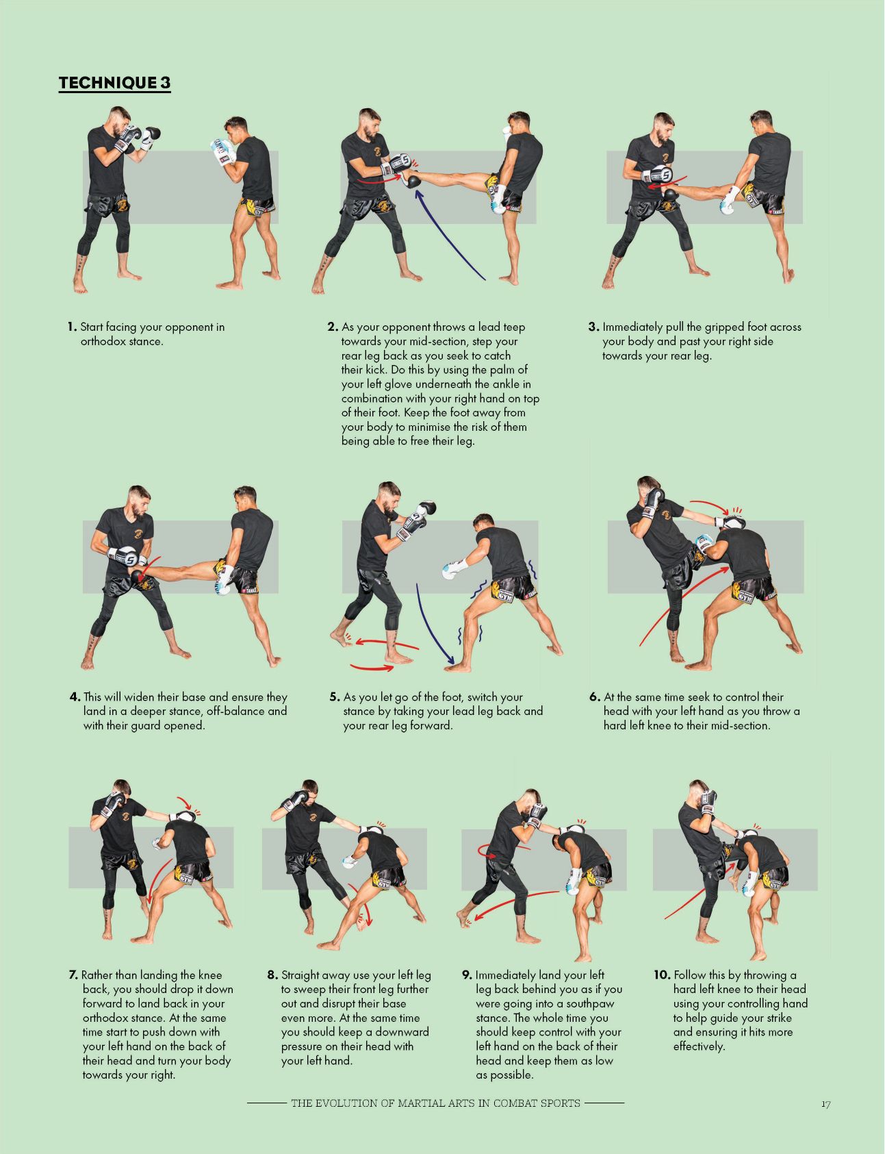 The Evolution of Martial Arts in Combat Sports A complete guide to developing elite level striking from the worlds leading coaches - photo 17