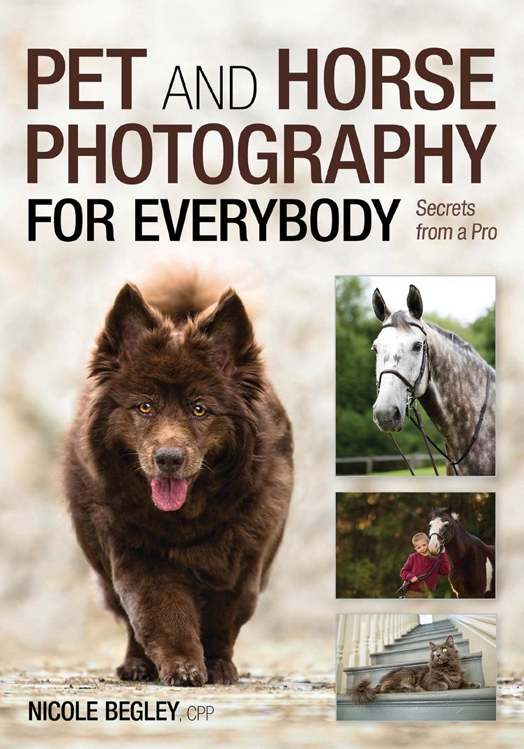 AUTHOR A BOOK WITH AMHERST MEDIA Are you an accomplished photographer with - photo 1