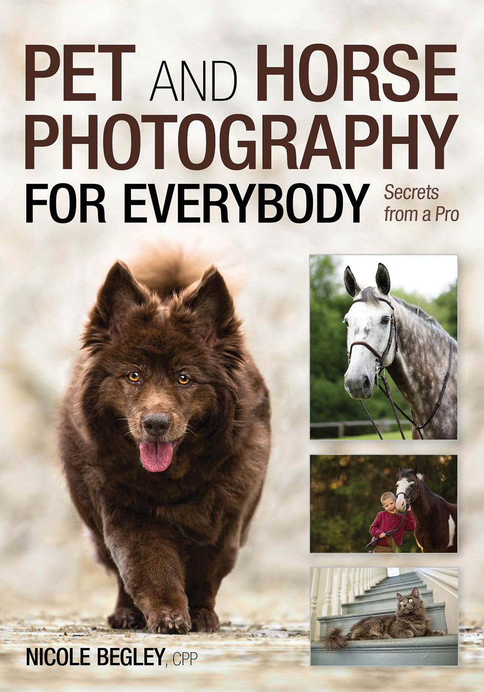 AUTHOR A BOOK WITH AMHERST MEDIA Are you an accomplished photographer with - photo 2