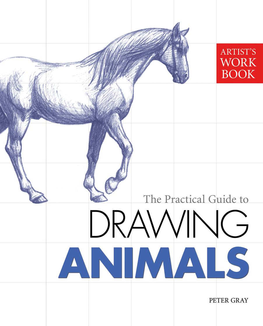 The Practical Guide to Drawing Animals - image 1