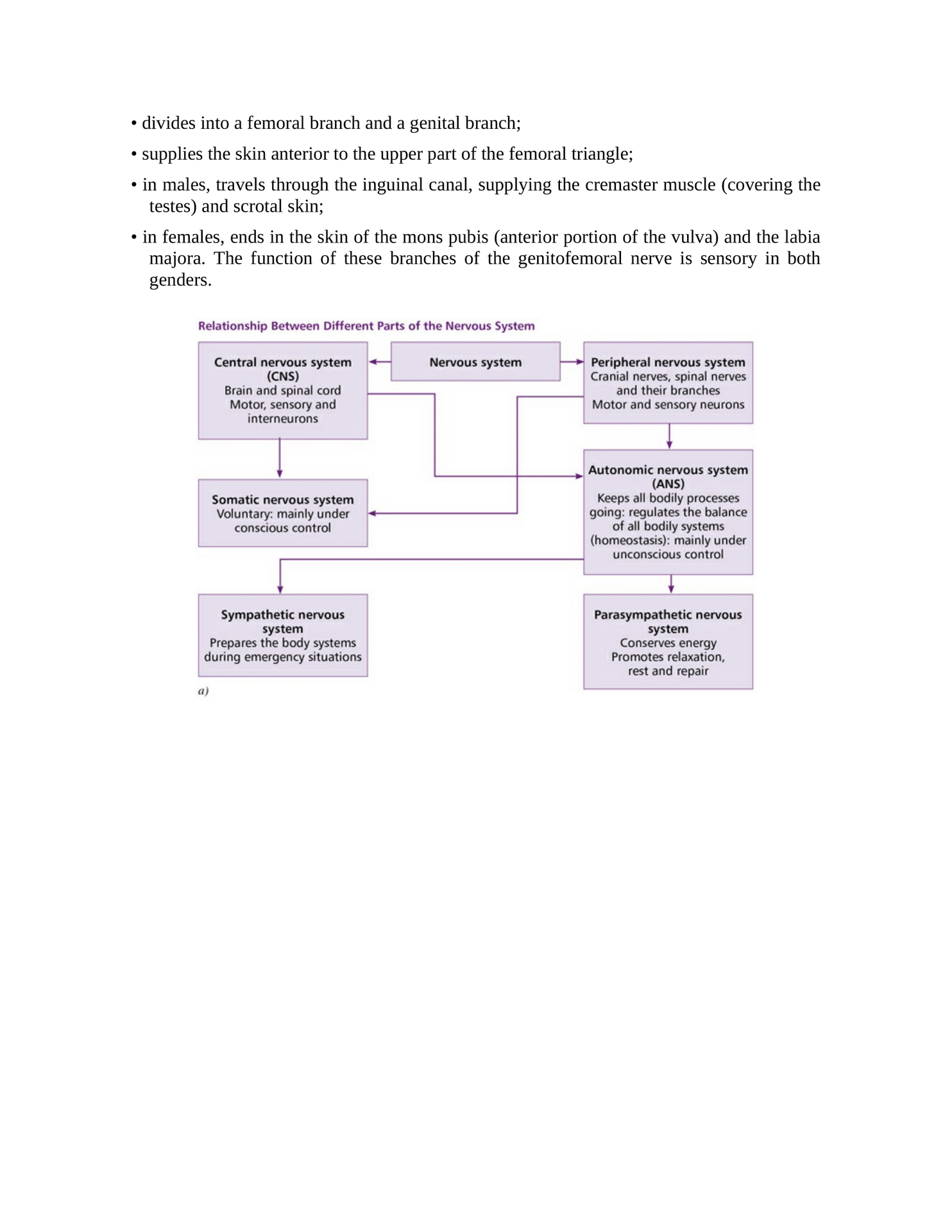 The Concise Book of Yoga Anatomy An Illustrated Overview to the Science of Activity - photo 9