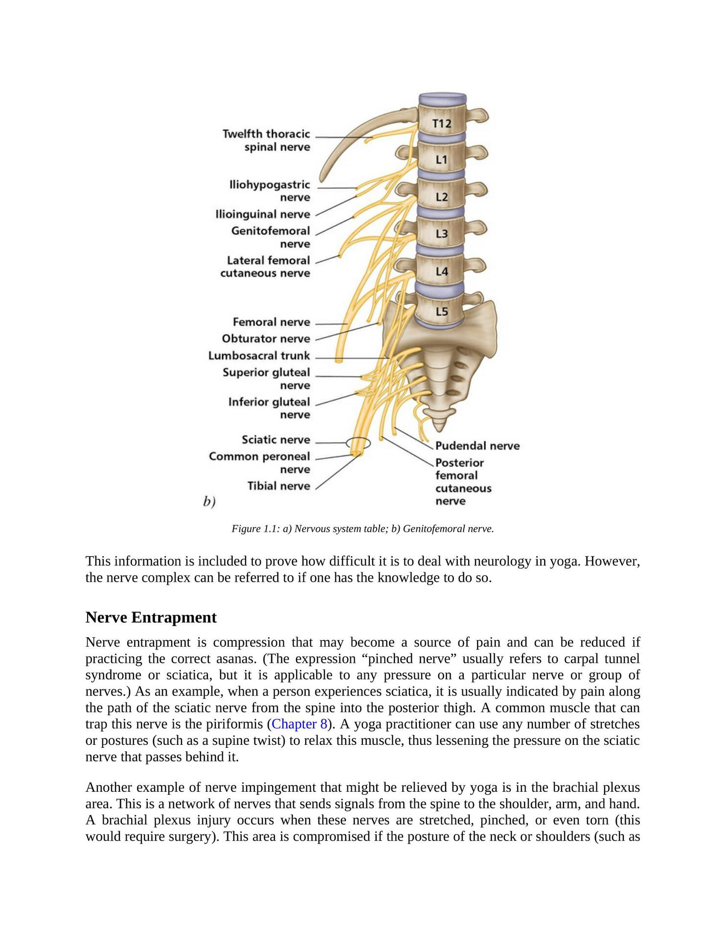 The Concise Book of Yoga Anatomy An Illustrated Overview to the Science of Activity - photo 10