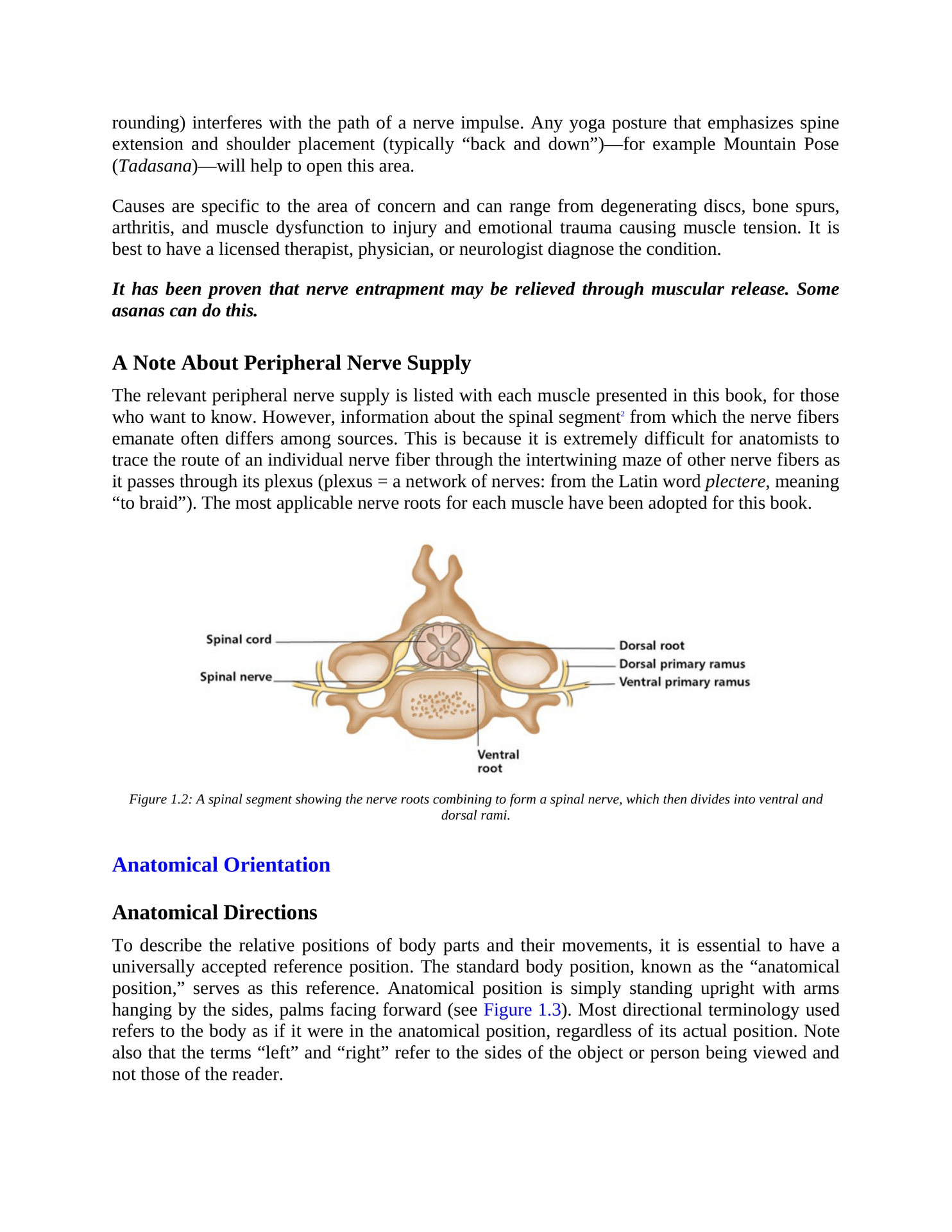 The Concise Book of Yoga Anatomy An Illustrated Overview to the Science of Activity - photo 11