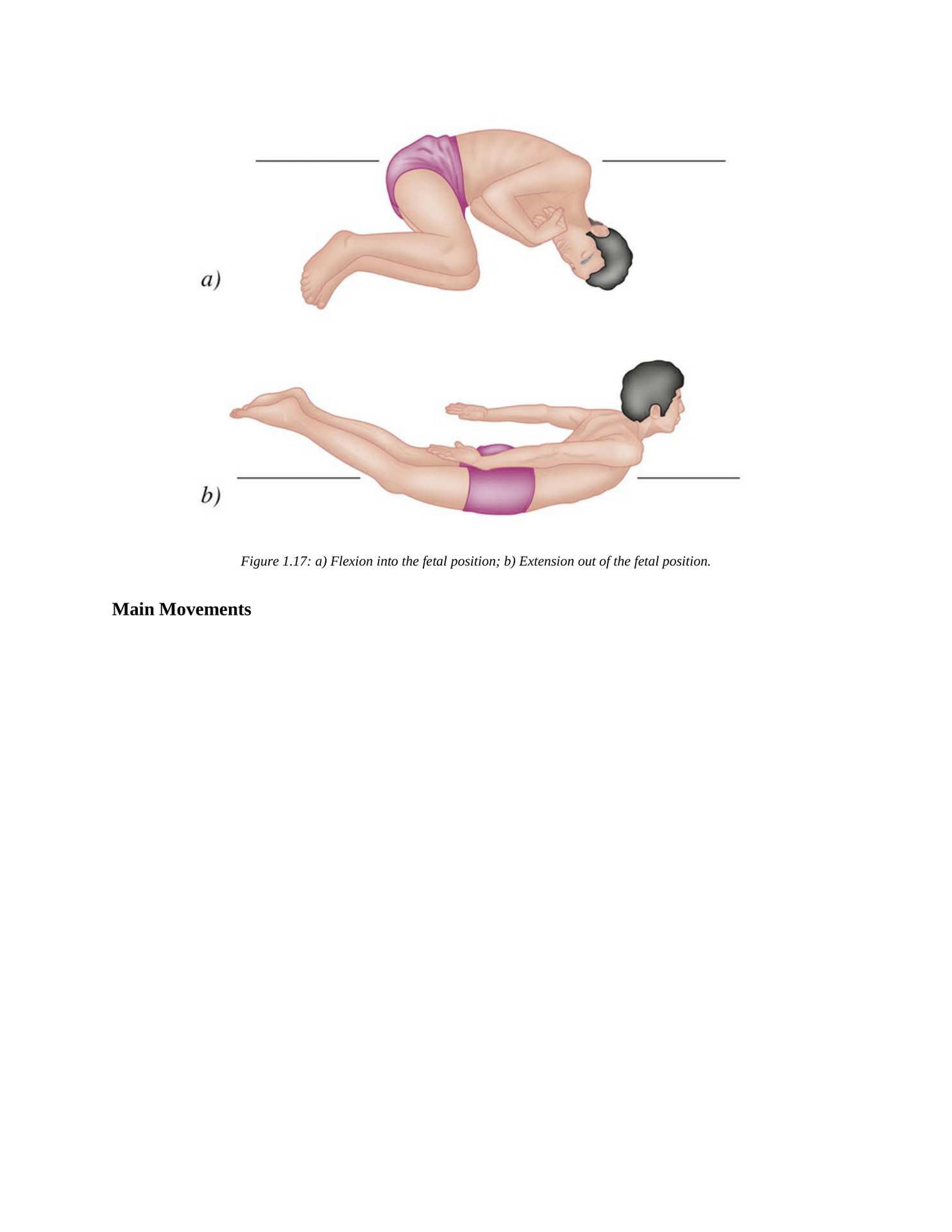 The Concise Book of Yoga Anatomy An Illustrated Overview to the Science of Activity - photo 27