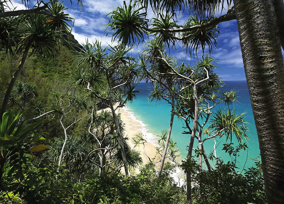 Seaside fun For the best beaches those that dot Hawaiis coast like pink - photo 10