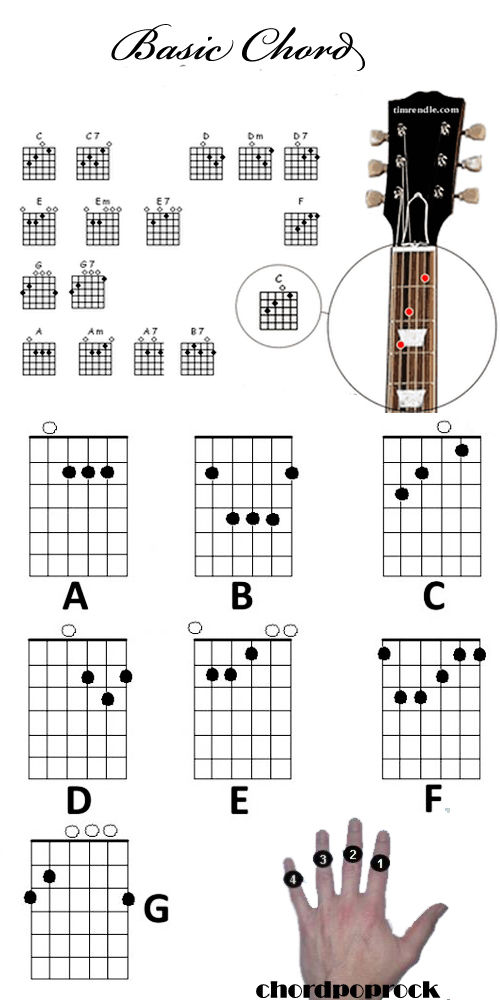 There are two main ways to play the guitar either with a guitar pick plectrum - photo 15