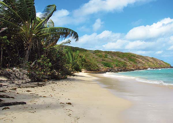 boats dock in Culebra Vieques is the largest of the islets and the most - photo 9