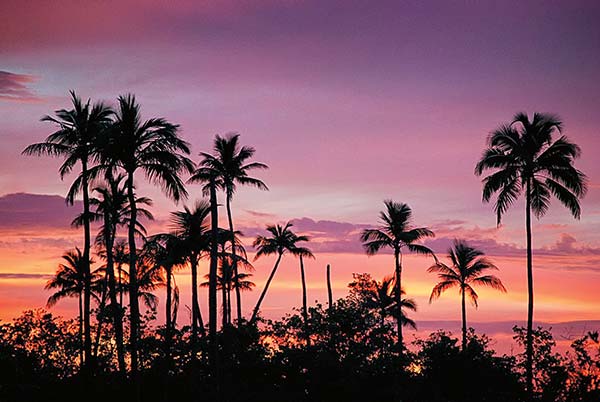 sunset in Vieques Where to Go San Juan Situated on the northeast coast - photo 13