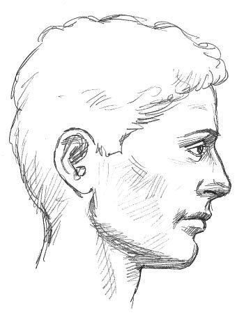 The head seen in profile allows clear definition of the features Generally - photo 6