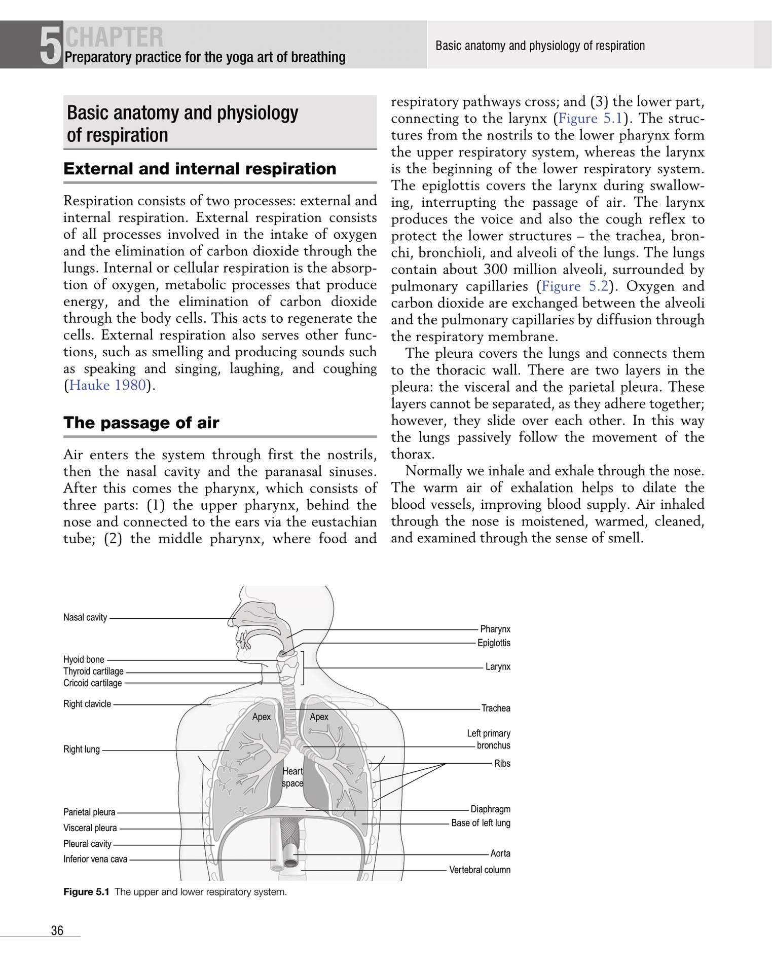 Yoga Exercise as Therapeutic Workout A Practical Overview for Guidebook Therapists - photo 42