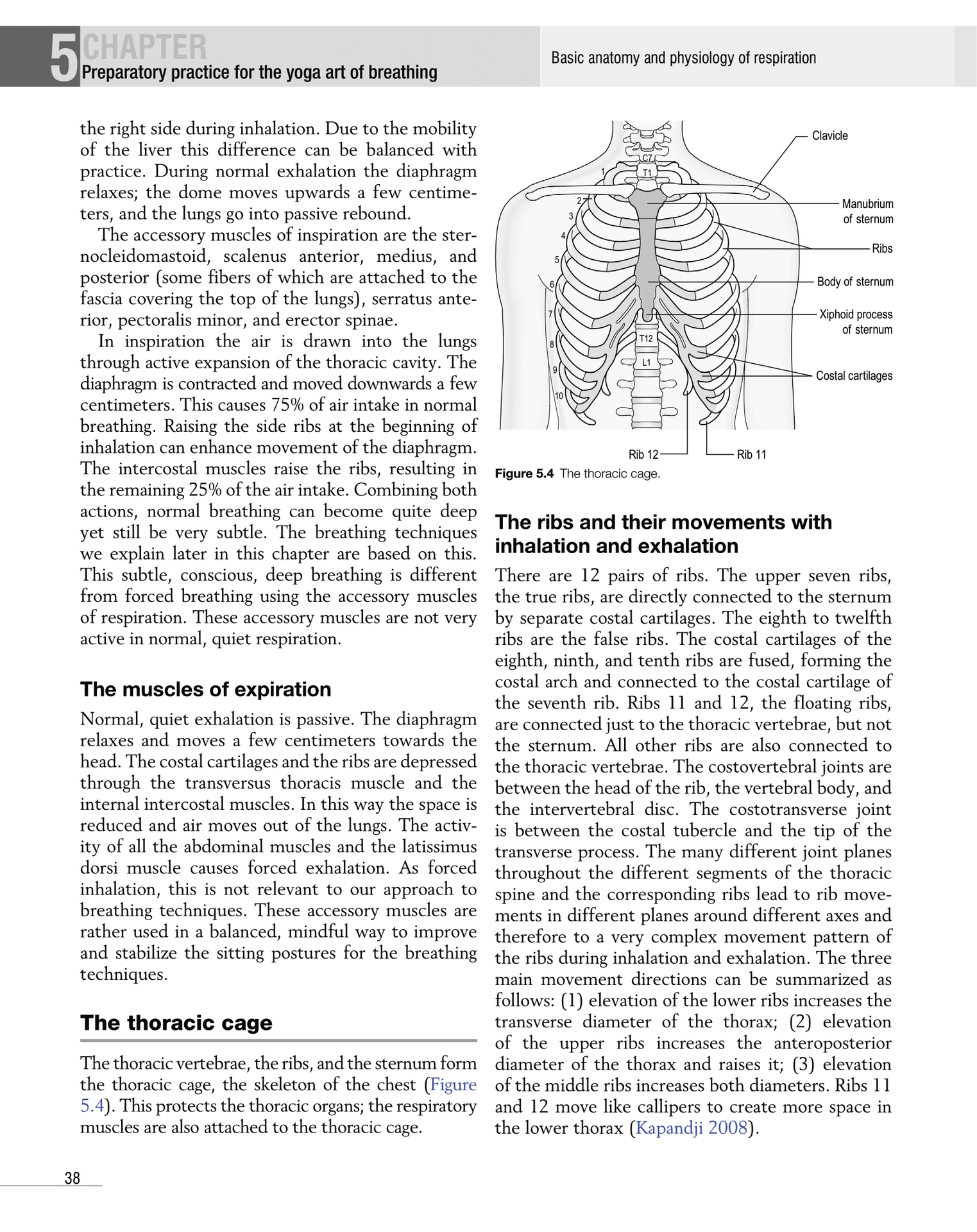 Yoga Exercise as Therapeutic Workout A Practical Overview for Guidebook Therapists - photo 44