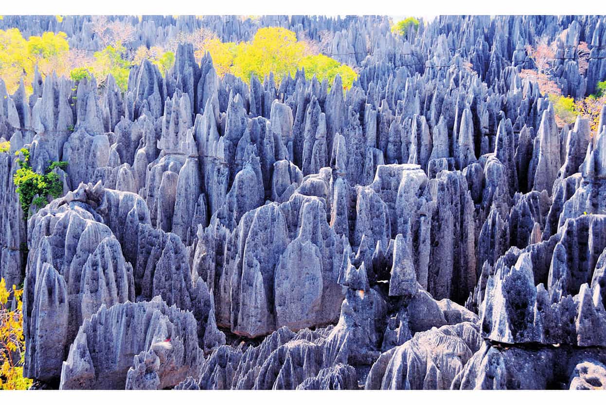 Top Attraction 8 iStock Parc des Tsingy de Bemaraha The jagged formations of - photo 11