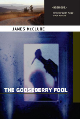 James McClure - The Gooseberry Fool: A Kramer and Zondi Investigation Set in South Africa