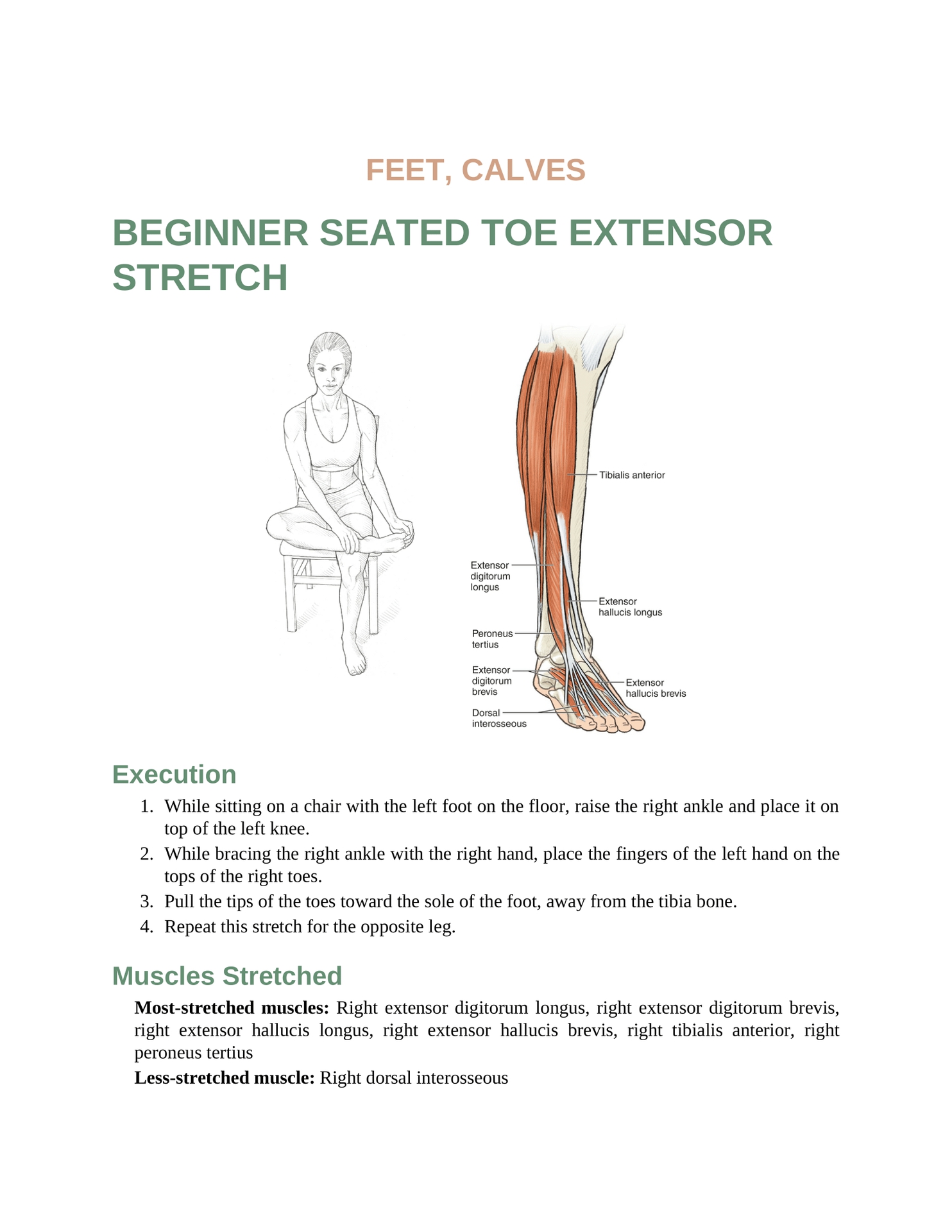 Stretching Anatomy Your Illustrated Guide To Improving Flexibility And Muscular Strength - photo 16