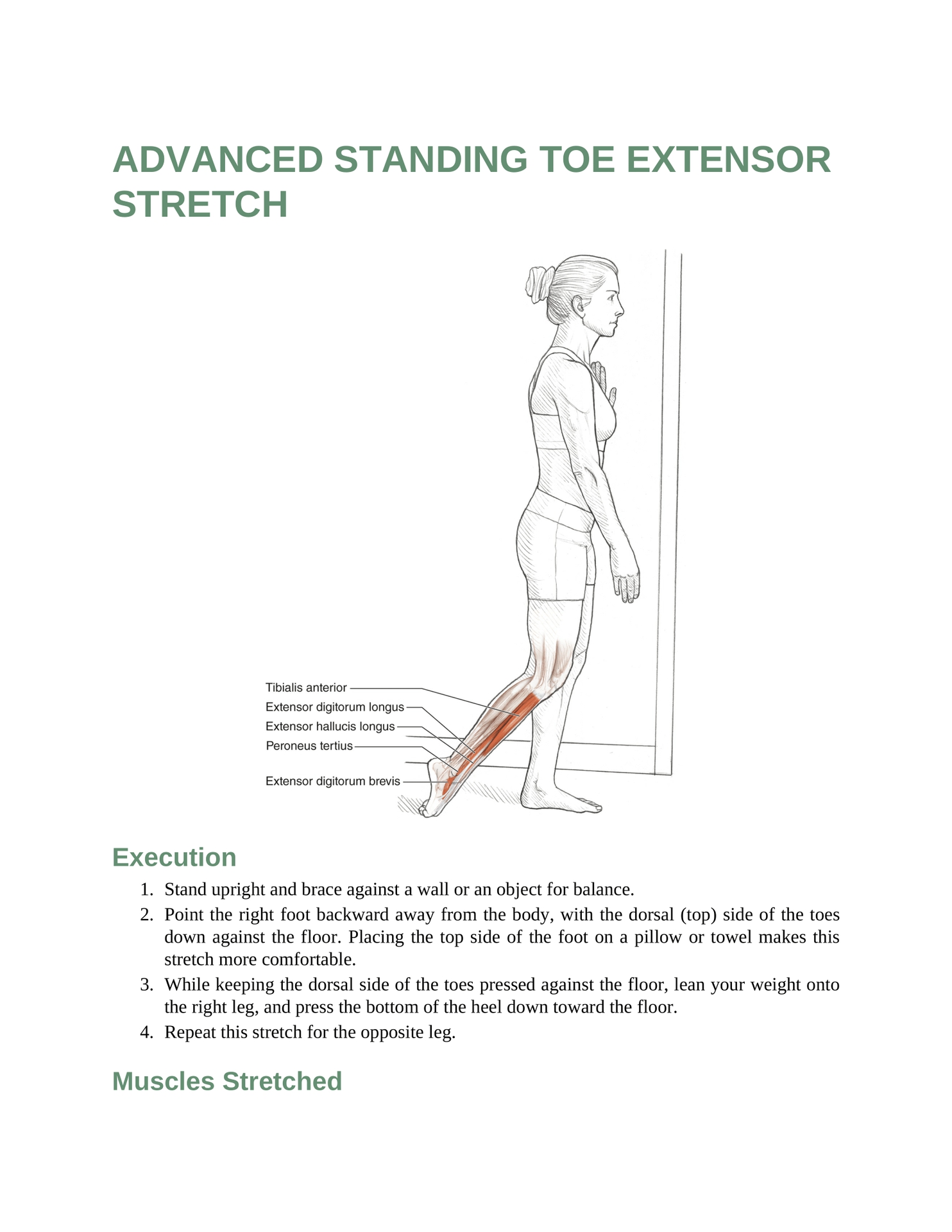 Stretching Anatomy Your Illustrated Guide To Improving Flexibility And Muscular Strength - photo 18