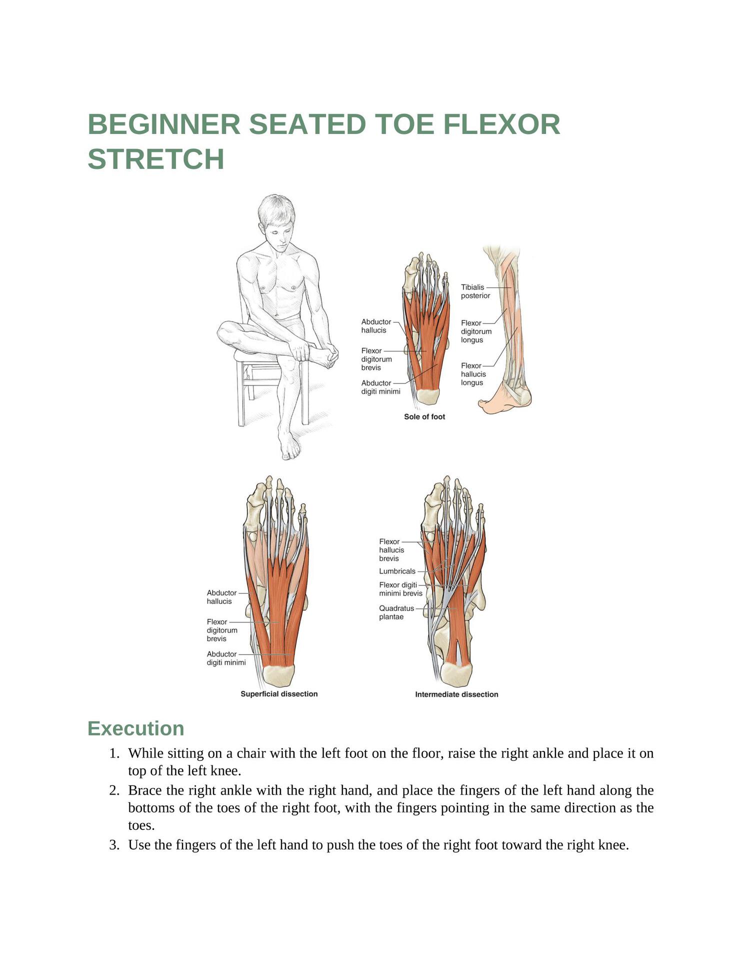 Stretching Anatomy Your Illustrated Guide To Improving Flexibility And Muscular Strength - photo 20