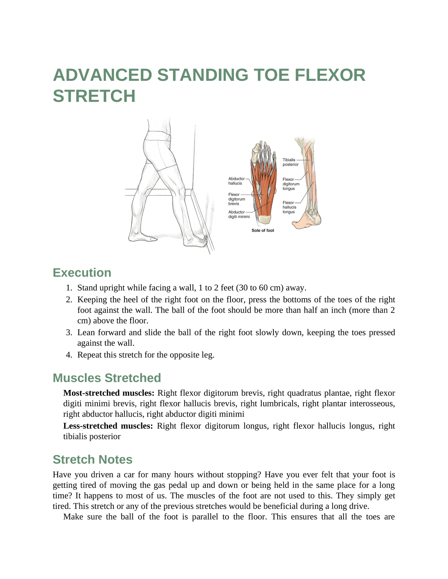 Stretching Anatomy Your Illustrated Guide To Improving Flexibility And Muscular Strength - photo 22