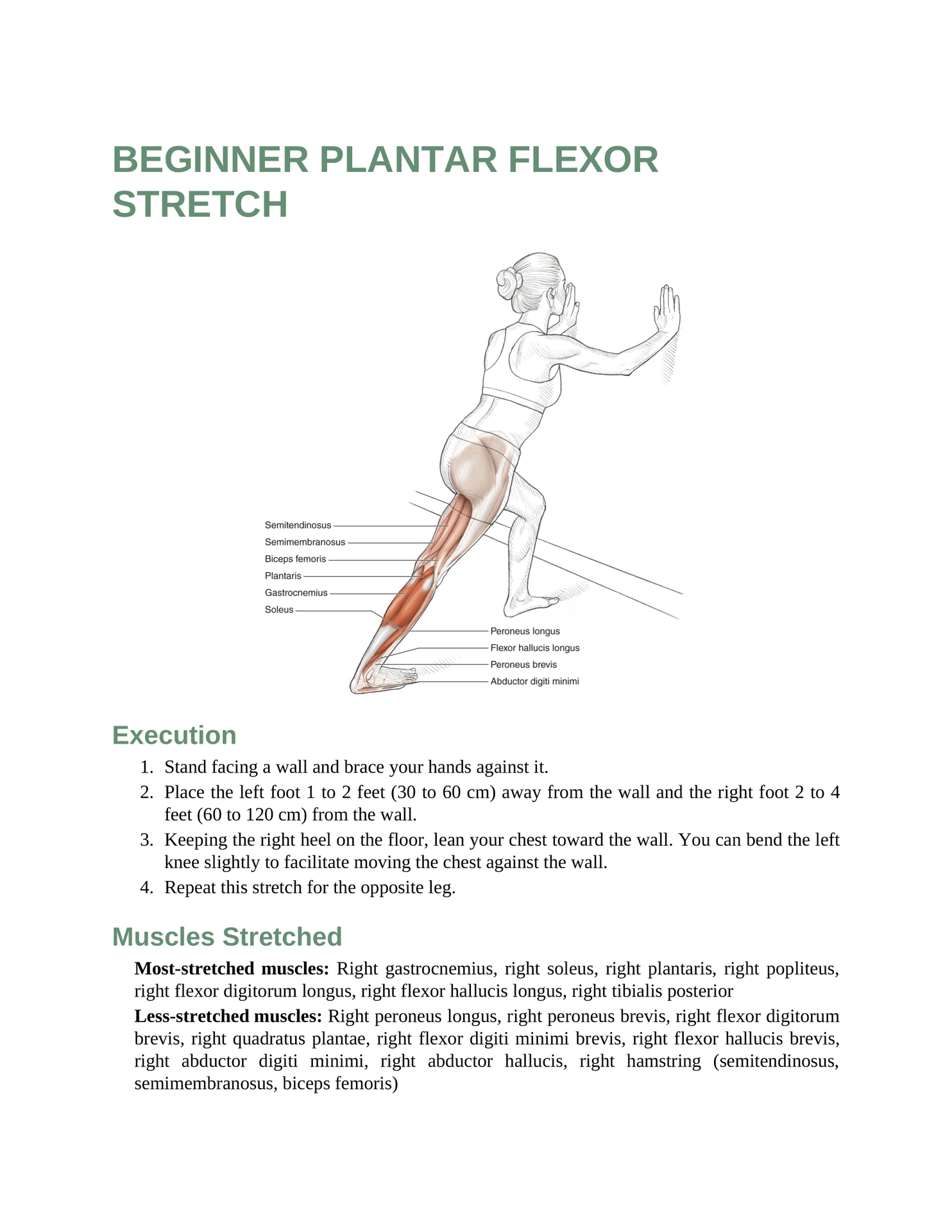 Stretching Anatomy Your Illustrated Guide To Improving Flexibility And Muscular Strength - photo 24