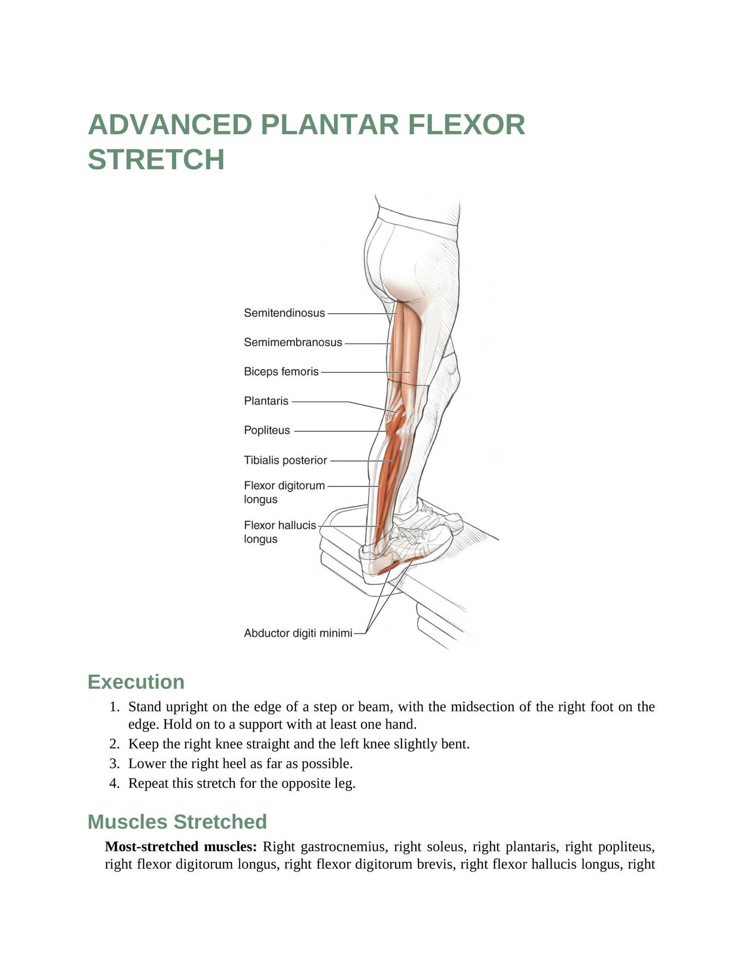 Stretching Anatomy Your Illustrated Guide To Improving Flexibility And Muscular Strength - photo 26