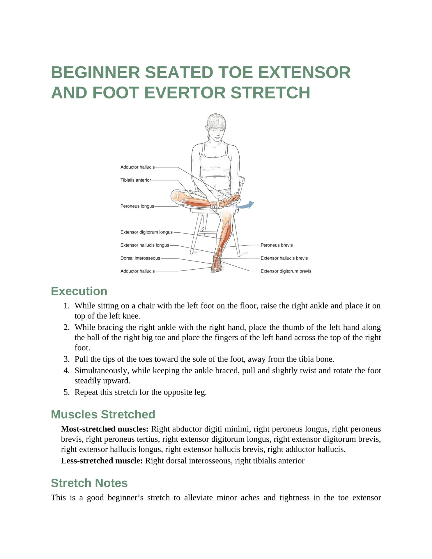 Stretching Anatomy Your Illustrated Guide To Improving Flexibility And Muscular Strength - photo 28