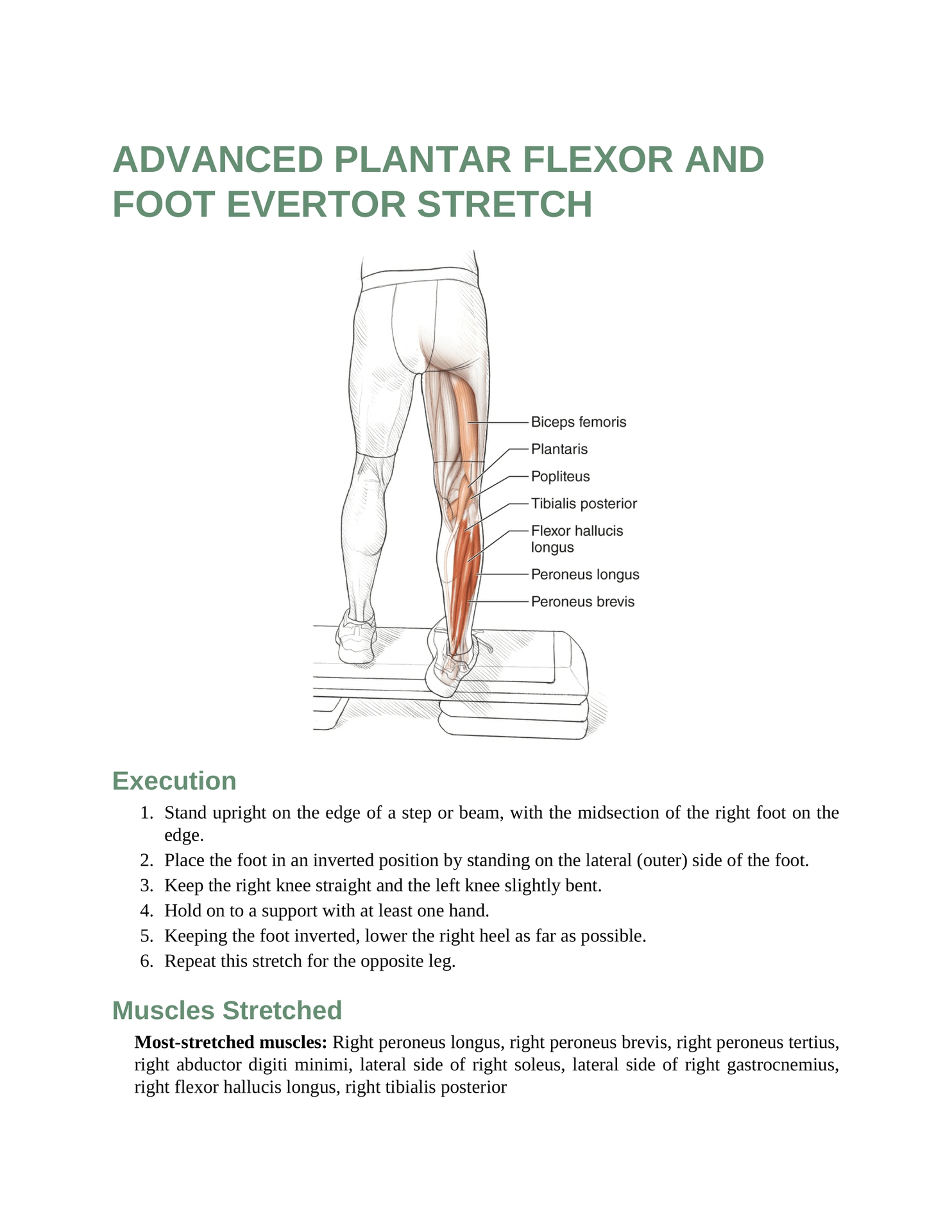 Stretching Anatomy Your Illustrated Guide To Improving Flexibility And Muscular Strength - photo 32