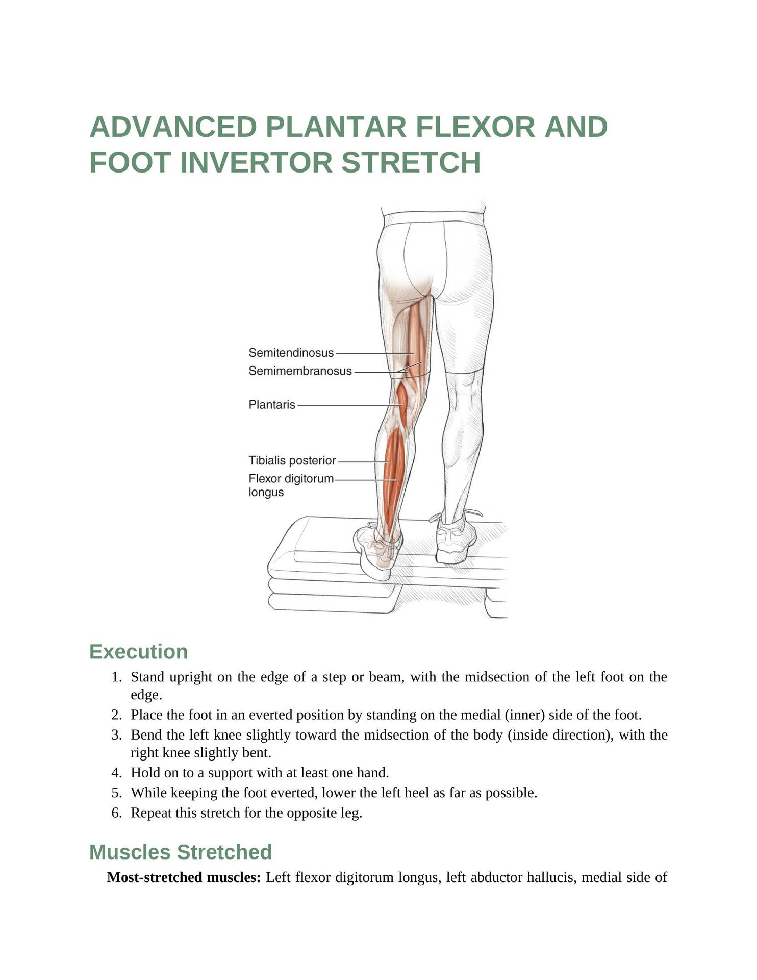 Stretching Anatomy Your Illustrated Guide To Improving Flexibility And Muscular Strength - photo 38