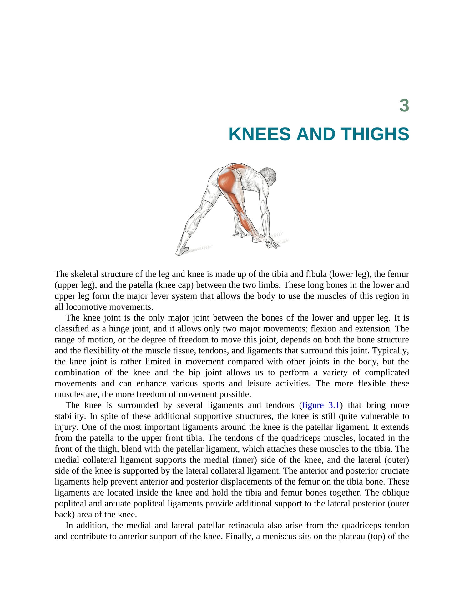 Stretching Anatomy Your Illustrated Guide To Improving Flexibility And Muscular Strength - photo 40