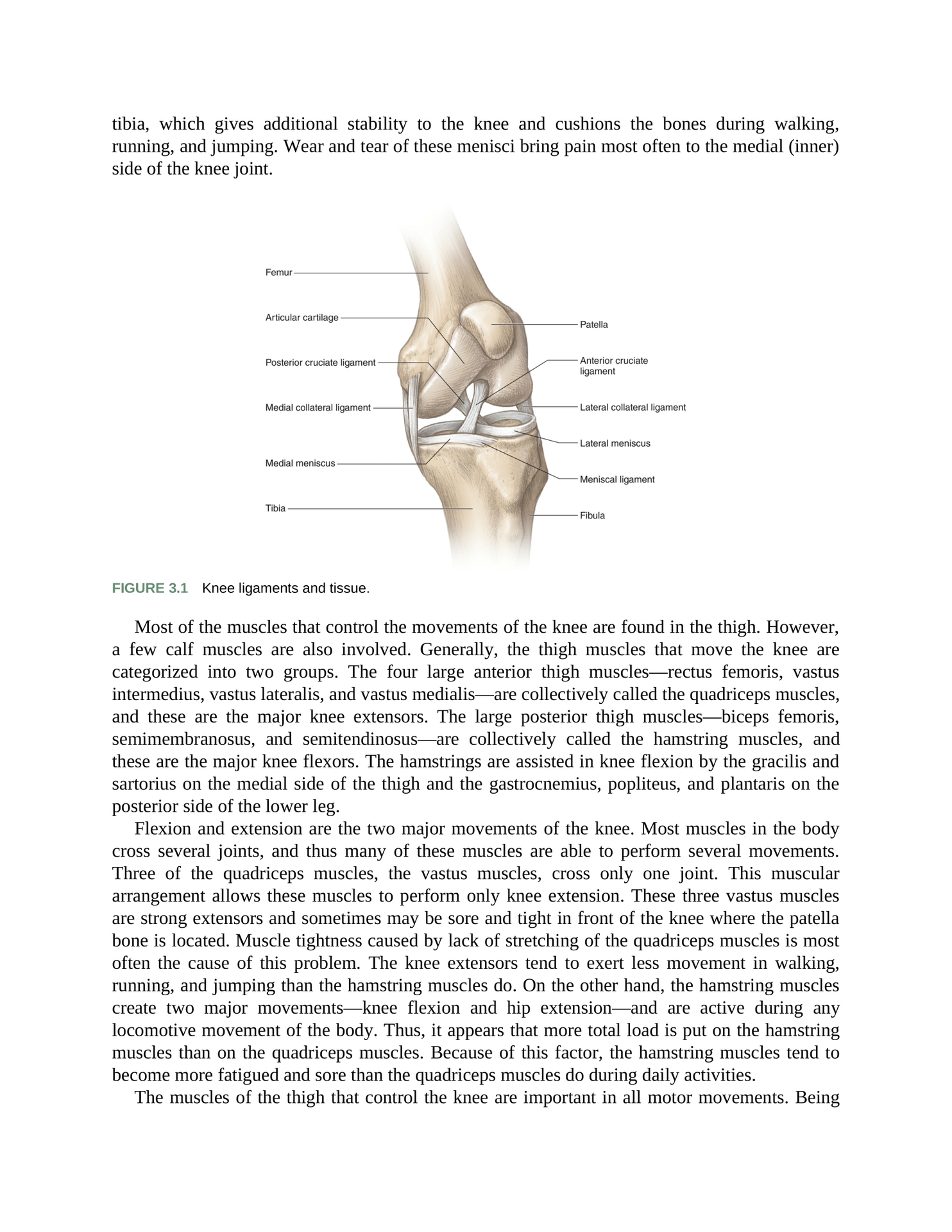 Stretching Anatomy Your Illustrated Guide To Improving Flexibility And Muscular Strength - photo 41