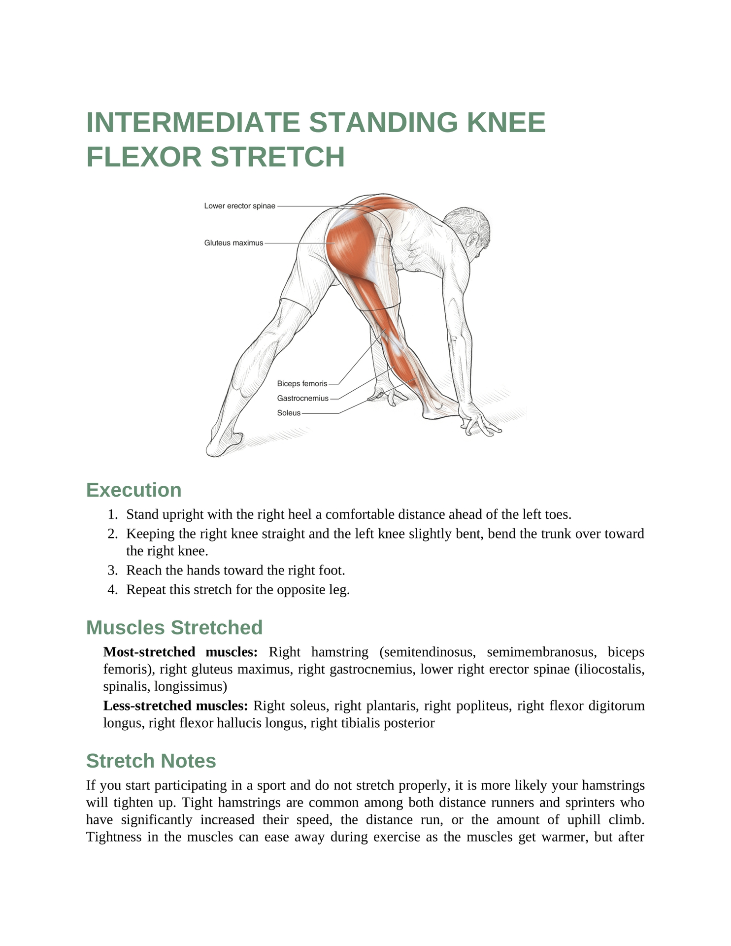 Stretching Anatomy Your Illustrated Guide To Improving Flexibility And Muscular Strength - photo 45